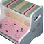 GirlsBugs Two step stool