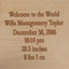 Brown Stool Maple